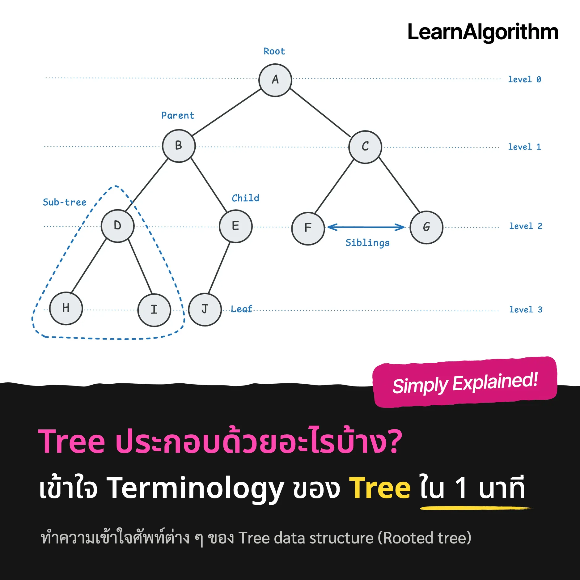 Tree ประกอบด้วยอะไรบ้าง? เข้าใจ Terminology ของ Tree ใน 1 นาที